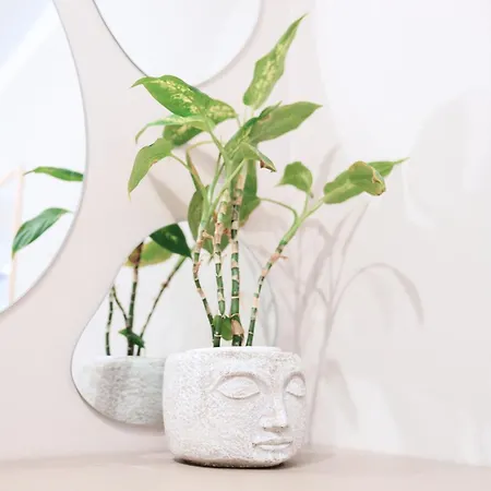 Premium Z Ogrodkiem *