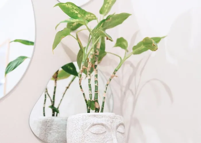 Premium Z Ogrodkiem *